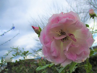 IMG_3942ss.jpg