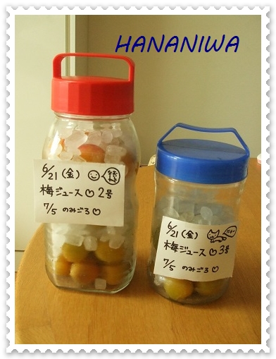 梅ジュース2回目製作.JPG