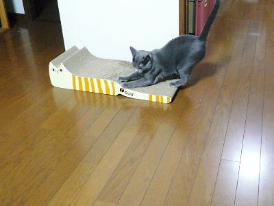 2014年06月18日_P1180860.jpg