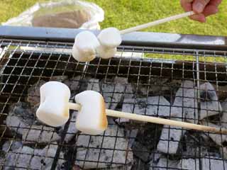 BBQ