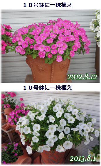 1.18x5.jpg