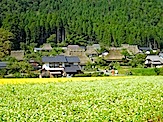 IMG_2939.JPG