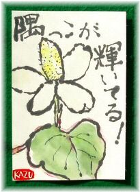 どくだみ　２