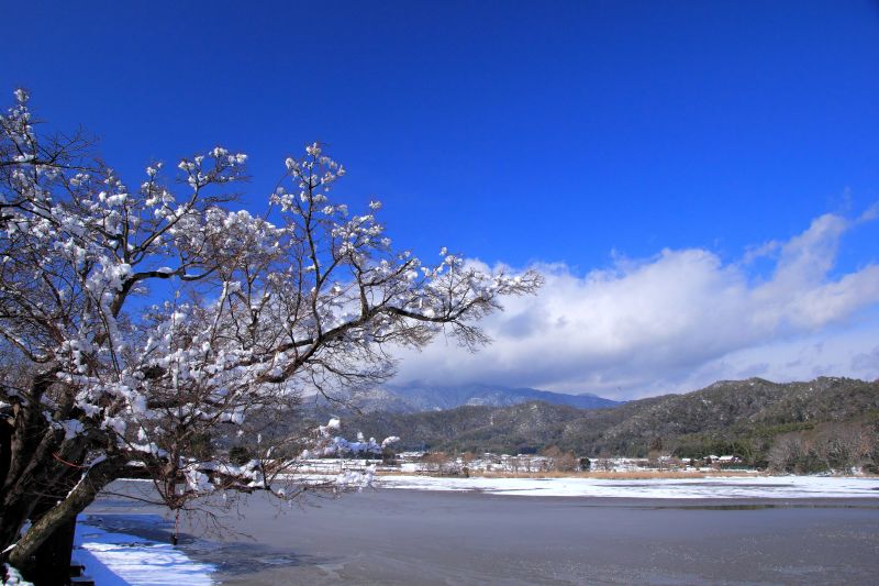 広沢の池_003.jpg