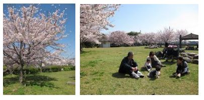 20120416.JPG