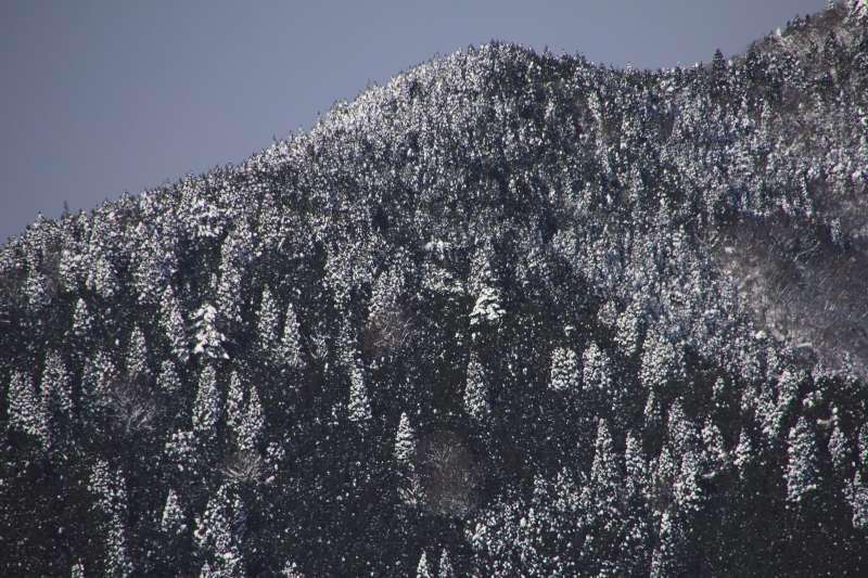 冬の蓬莱山_004.jpg