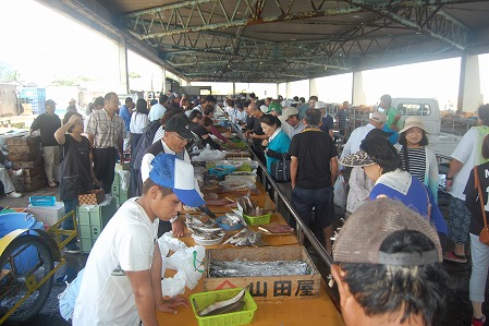 DSC_1176.jpg