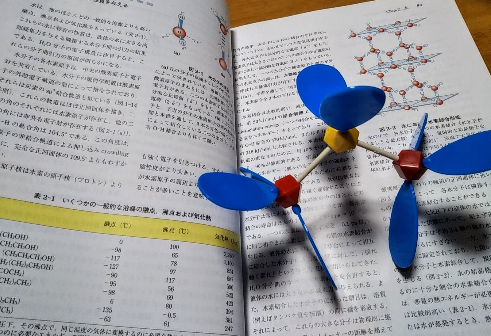 レーニンジャーの新生化学 下―生化学と分子生物学の基本原理 [単行本