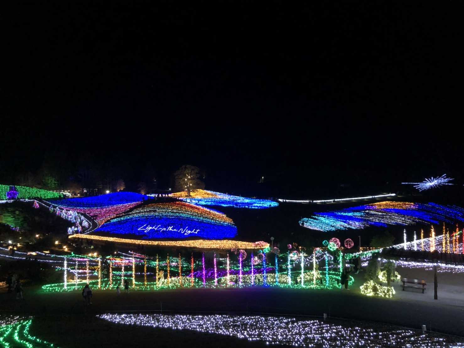 ウィンターファンタジー In 国営讃岐まんのう公園 坂出グランドホテル宿ブログ 楽天ブログ