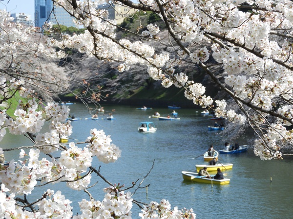 千鳥ヶ淵緑道