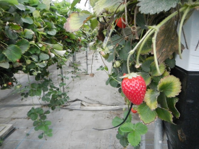DSCN0883.jpg