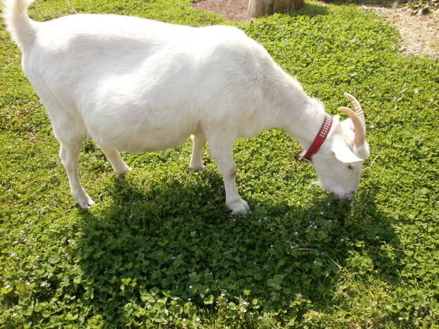 P3300652.JPG
