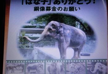 DSC04842_convert_20170506093500.jpg