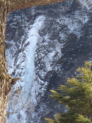 1.28 itinosawa ootaki.jpg