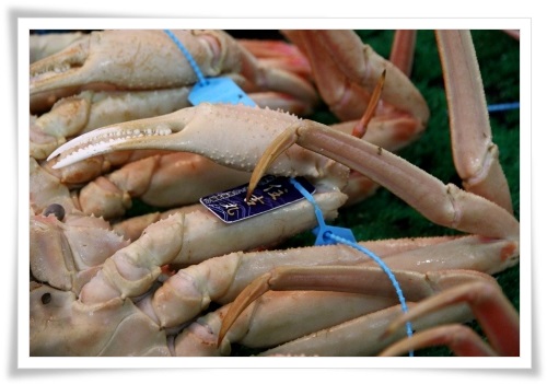 いきいき魚市-10 13.12.29