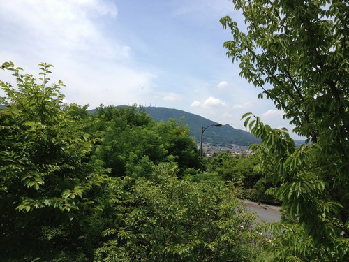 1病院帰り500５.jpg
