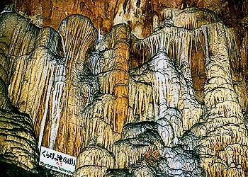 秋芳洞の鍾乳石