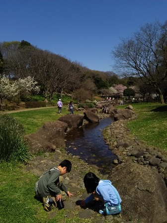 2015-04-01-10-07-23_deco.jpg