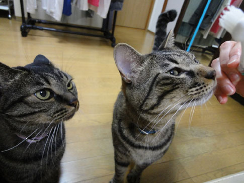 20130101 yume&iku