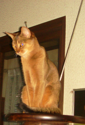 DSC07821.jpg