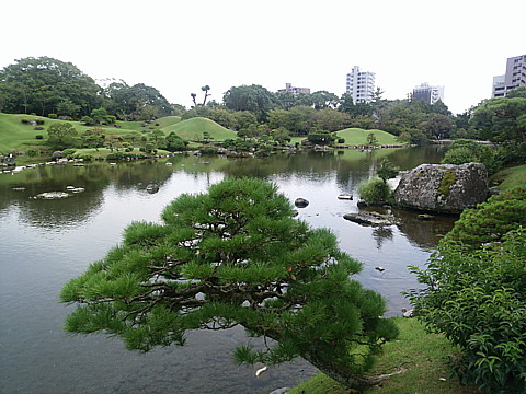 IMG_20160921_123017.jpg