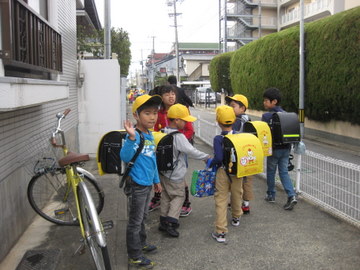 画像 4681.JPG