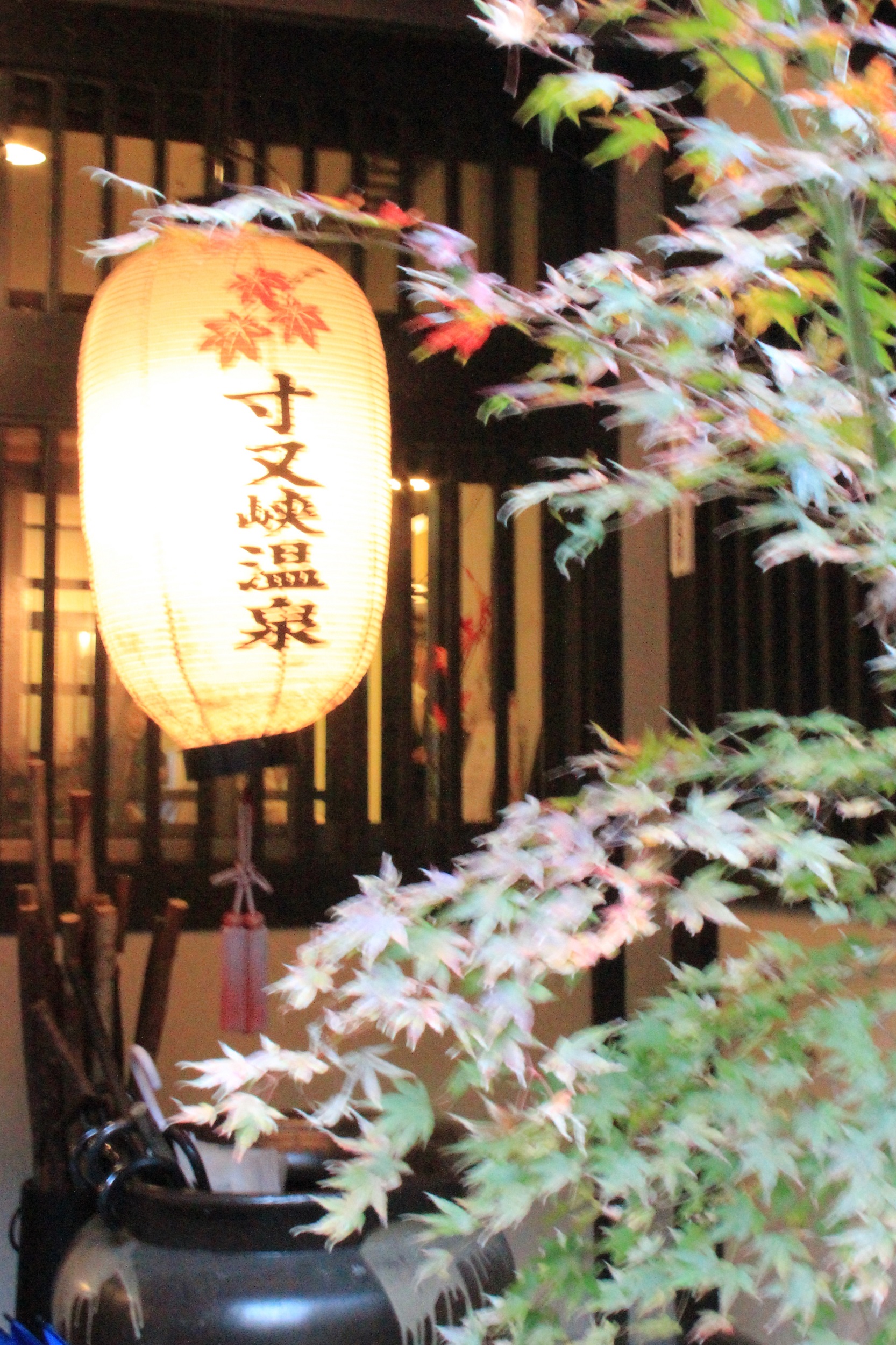 IMG_0415-1　小.jpg