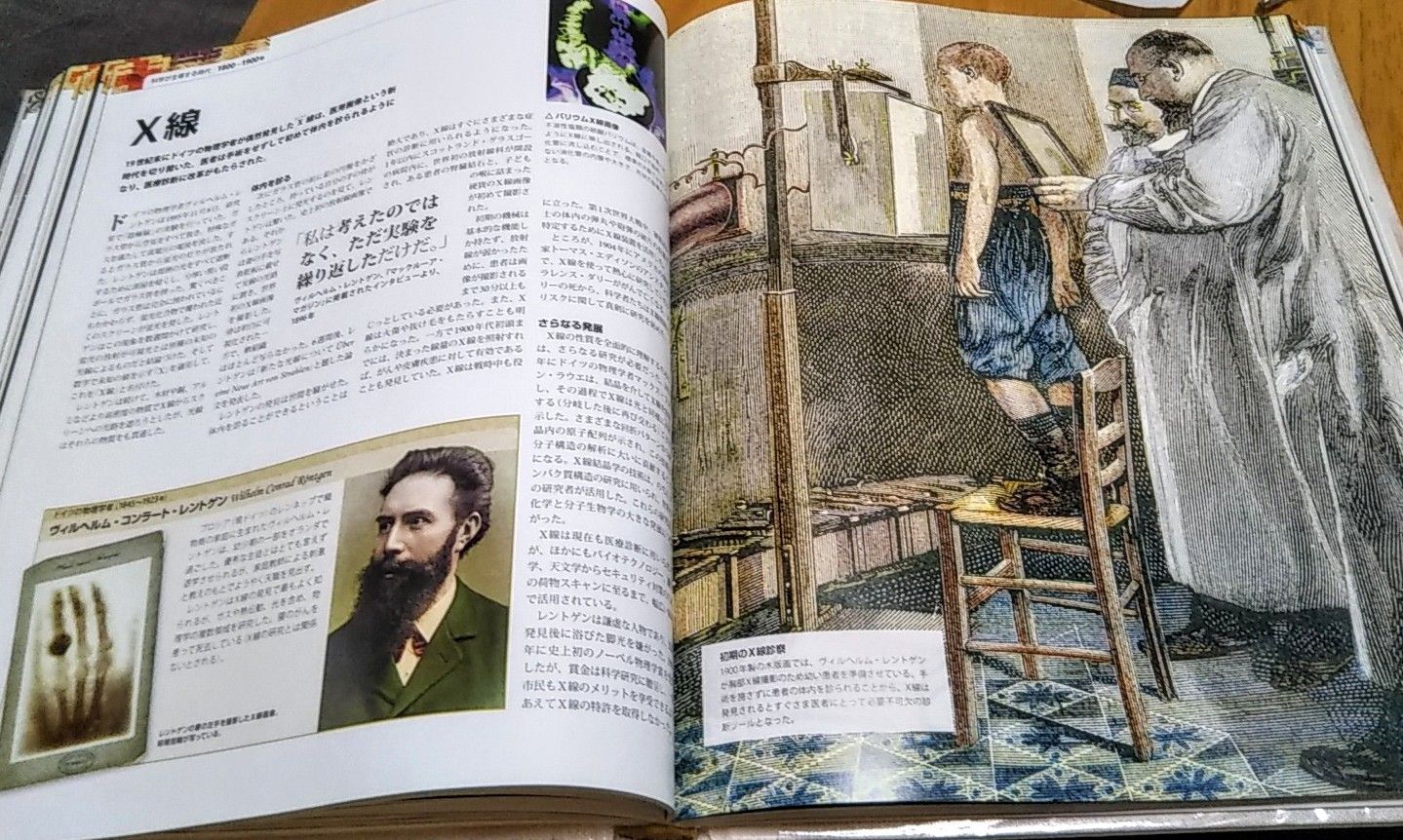 医学の歴史 大図鑑 医学の歴史 大図鑑 :スティーヴ・パーカー,酒井 シヅ | 河出書房新社