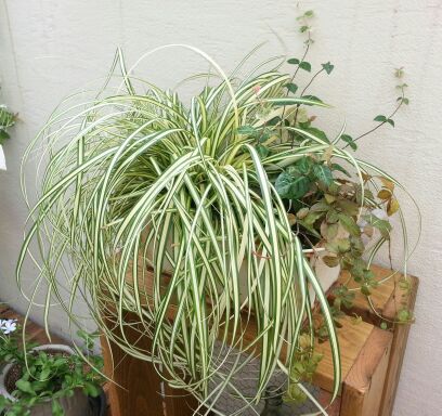 rblog-20140812150736-00.jpg