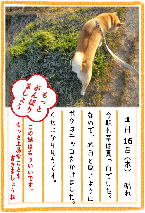 0116霜1.jpg