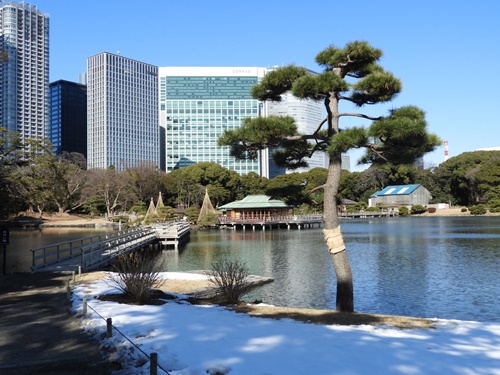 浜離宮恩賜庭園にて