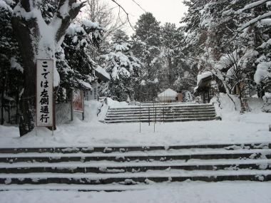 2015-12-29mori1.JPG