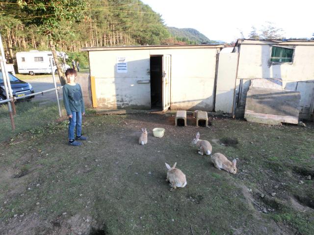 Cimg5813.jpg