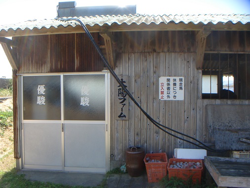 太陽ファーム.jpg
