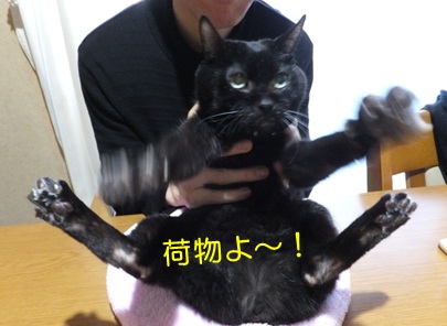 20121127_2.jpg