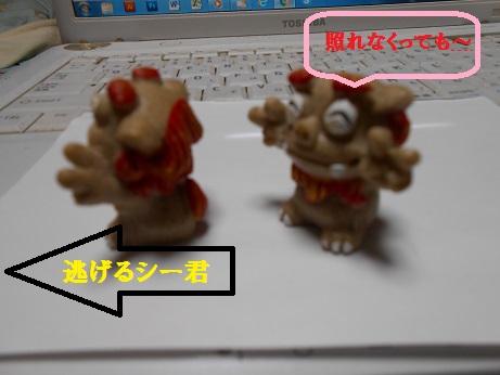 003.JPG