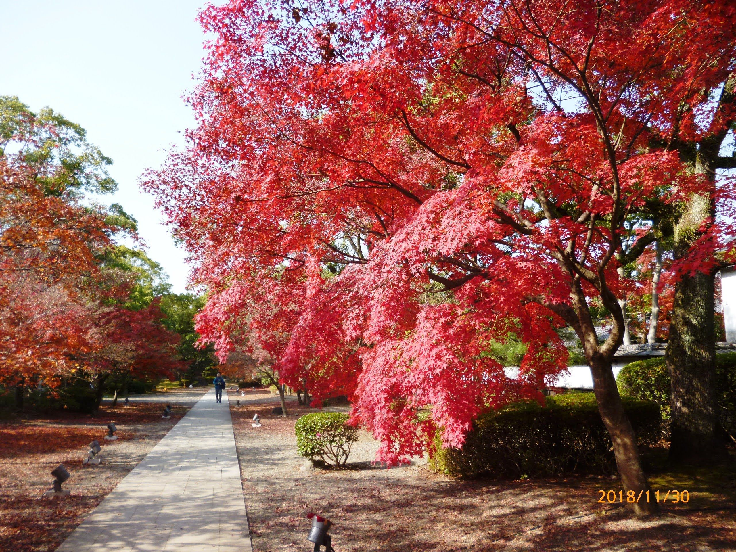 熊本市 古京町 旧細川刑部邸 紅葉 荒尾史学会のブログ 楽天ブログ
