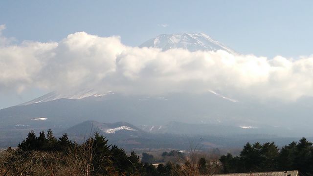16452683_2037281420_27large.jpg