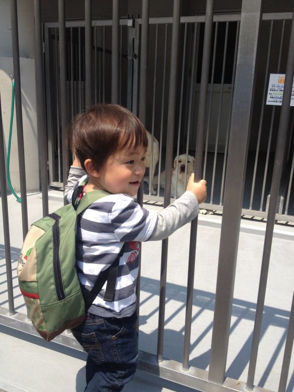 rblog-20140428221939-01.jpg