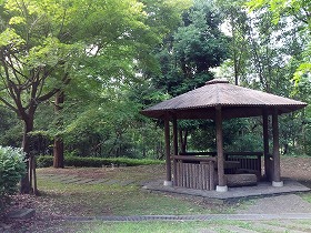 公園4.jpg