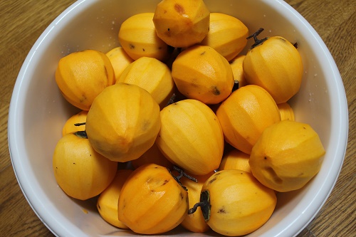 あたご柿 (2).JPG