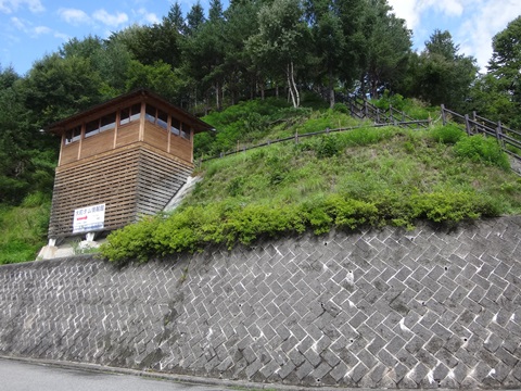 DSC07136.JPG
