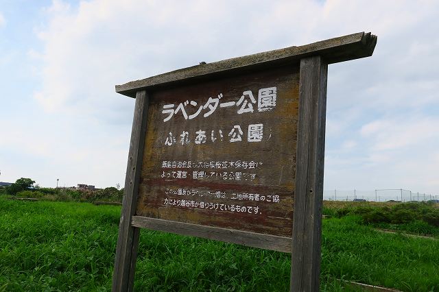 20160704大成町ラベンダー公園０３