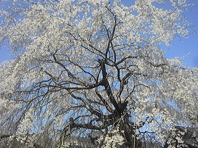 130330_093025.jpg
