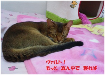 2012端っこ1