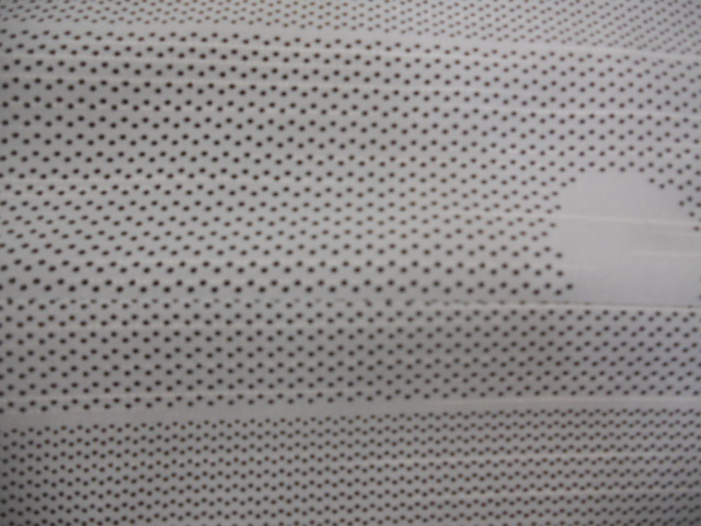 DSCN9031.JPG