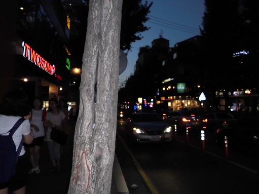CIMG0067.JPG