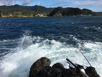 161029陸の丸島