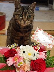 みると花