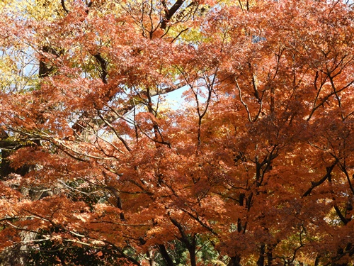 日比谷公園